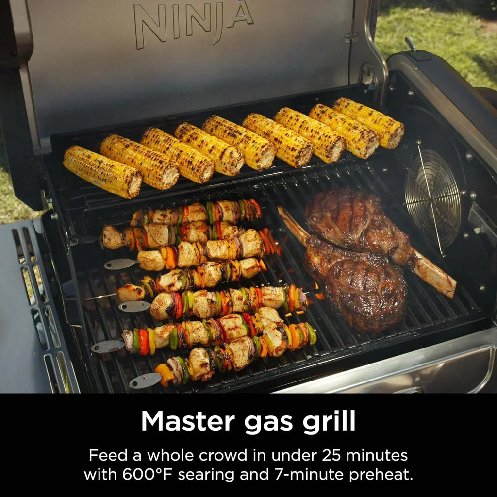 Ninja FlexFlame Grill and Smoker Electric Propane Grill Roaster BBQ Grill 5-in-1 Cooking System wourant