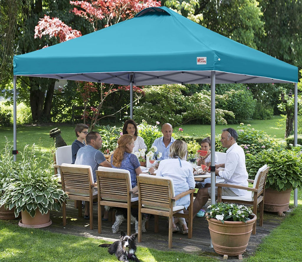 Durable Pop-up Canopy Tent with Roller Bag (10x10 Black) wourant