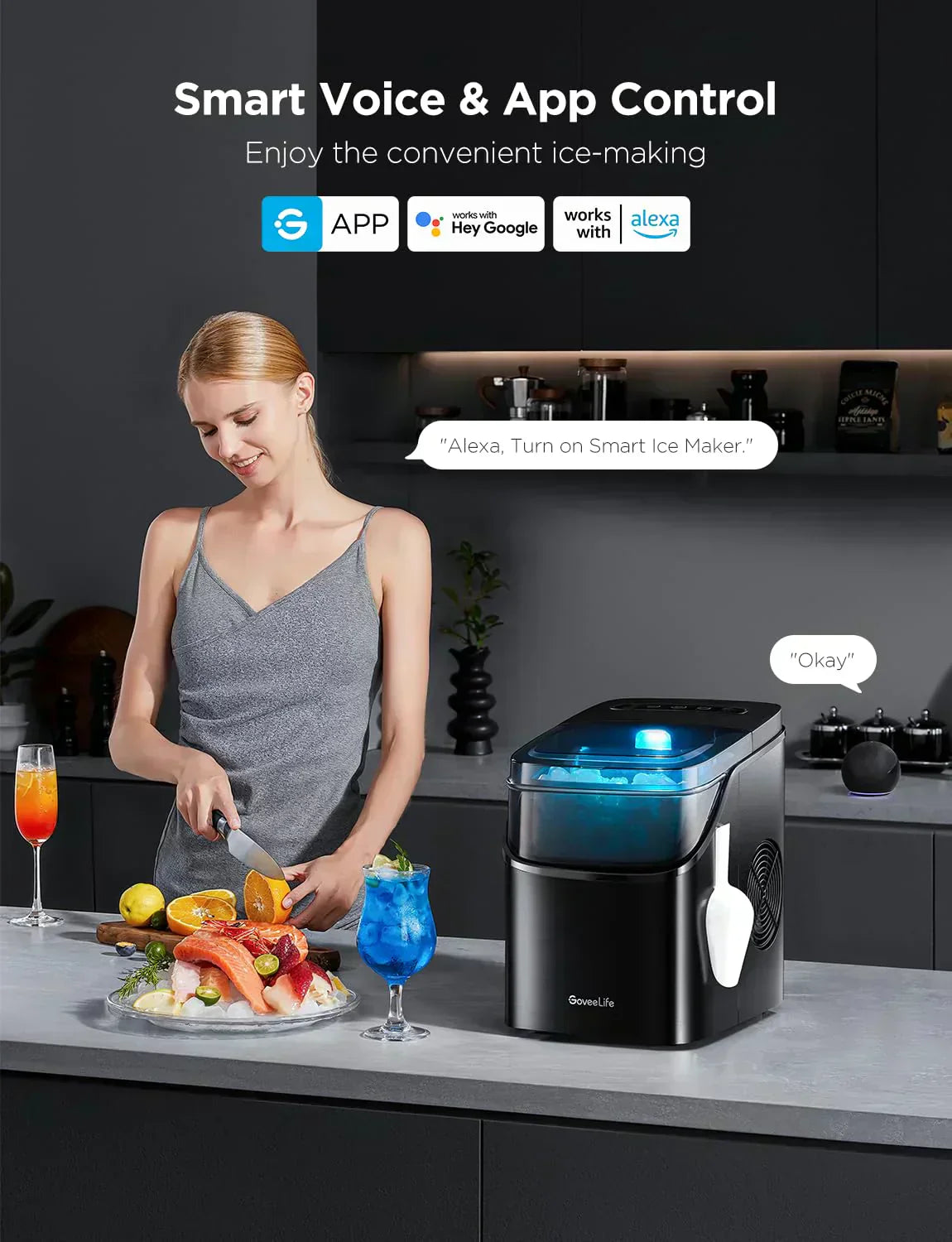 GoveeLife Smart Ice Maker Countertop Portable Ice Machine with Voice Control 9 Ice Cubes wourant