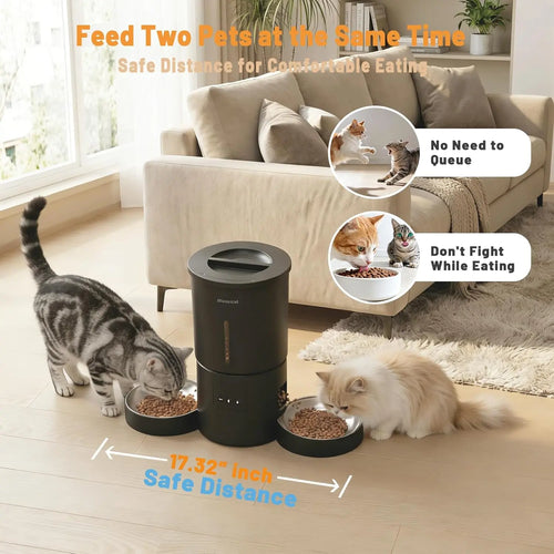 4.2L Automatic Cat Feeder for 2 Cats Dual Bowls WiFi App Timed Feeding Whisker Friendly anfaavocat