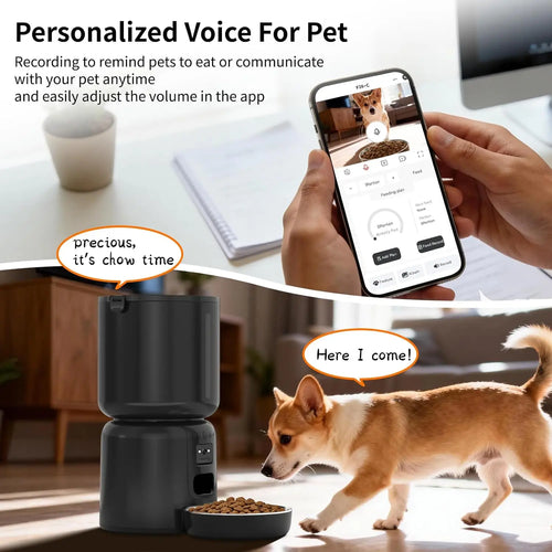 4L Cat Feeder and Water Dispenser Set with 2MP Camera WiFi App Control Single Plug anfaavocat