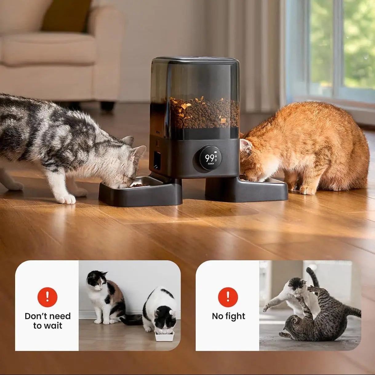 Cordless Automatic Cat Feeder for 2 Cats 5L Dual Bowl WiFi App 100-Day Battery anfaavocat