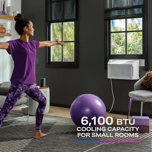 PHNT10CC Clearview Air Conditioner 10,300, Inverter Technology, Ultra Quiet, Medium Rooms up to 450 Sq. FT, Full Window View with Easy Installation, Energy-Efficient Cooling, 10300 BTU, White wourant