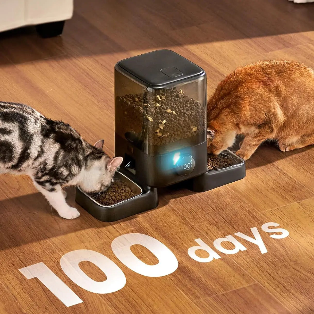 Cordless Automatic Cat Feeder for 2 Cats 5L Dual Bowl WiFi App 100-Day Battery anfaavocat