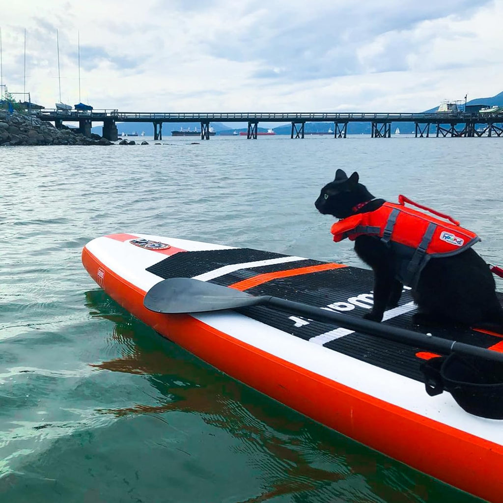 FunWater Inflatable Stand Up Paddle Board with Premium SUP Paddle Accessories, Non-Slip EVA Deck, 11'/10'6' Paddle wourant