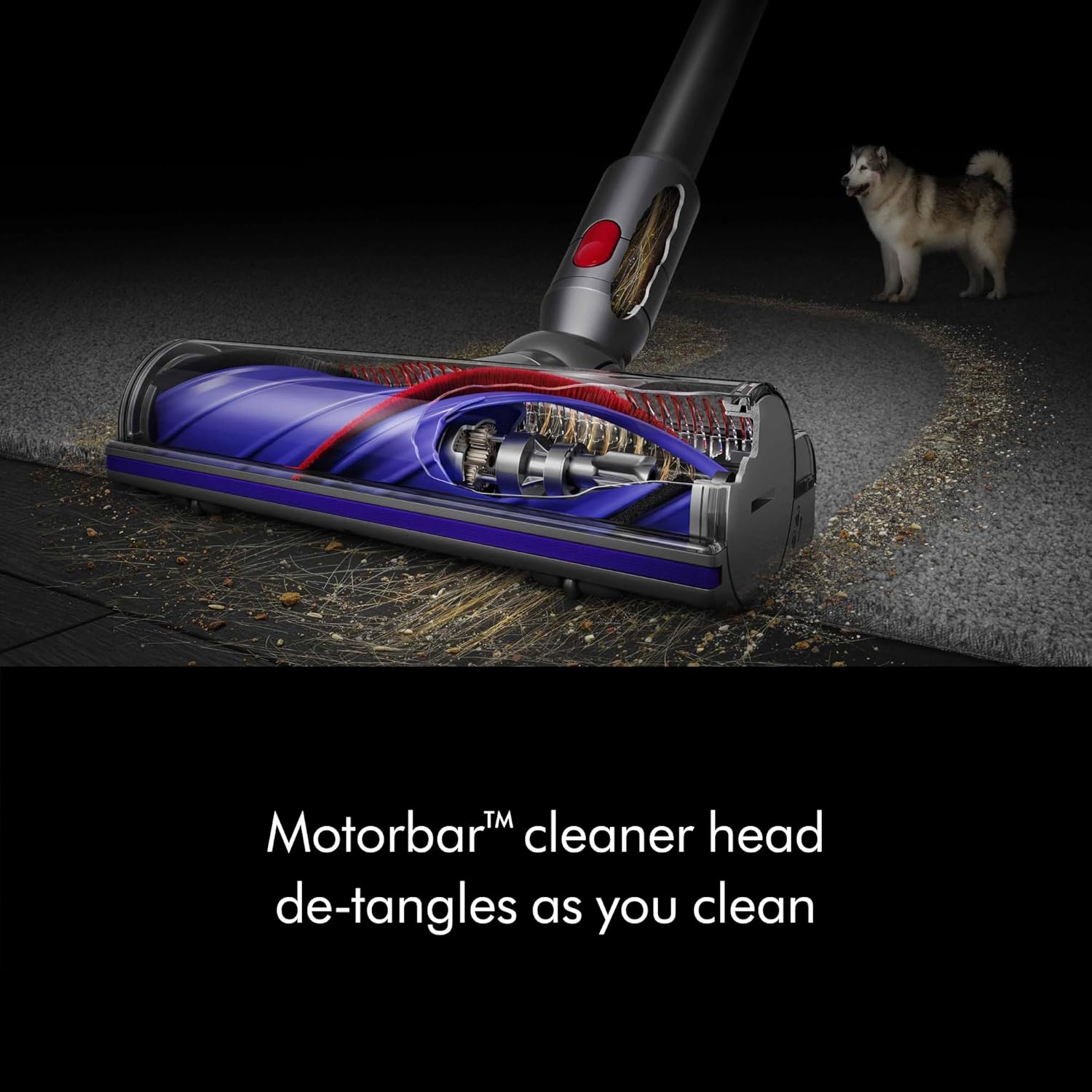 Dyson V8 Plus Cordless Vacuum, Cleans Hard Floors and Carpets, Detangles, Converts to Handheld, 115AW, 2 Power Modes, Up to 40 Minutes¹ woonhhop