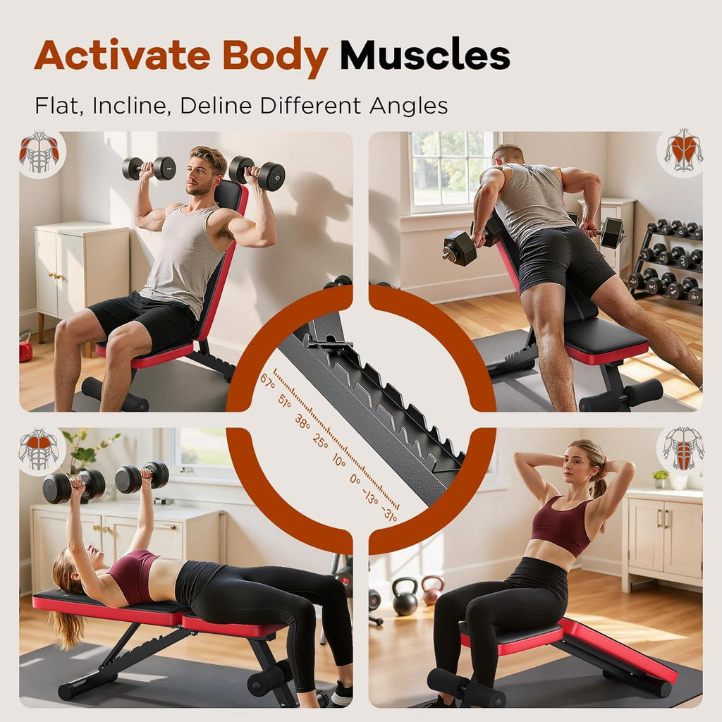 Basic Weight Bench for Home Gym, Foldable Workout Bench with 8 Backrests, 660LBS Weight Capacity Adjustable Bench wourant