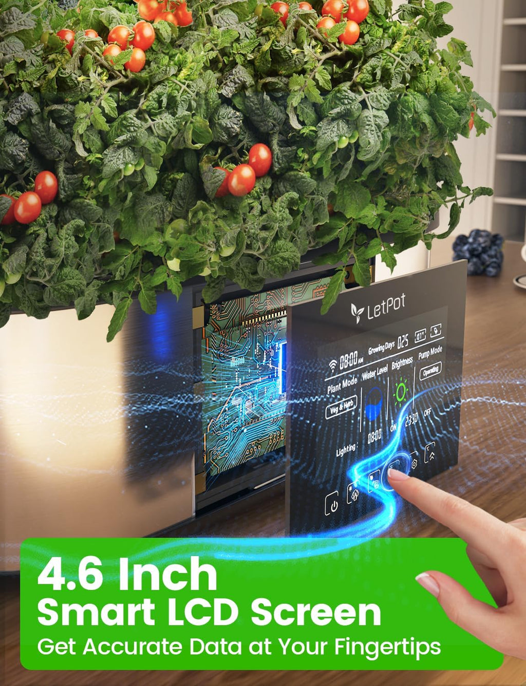 Hydroponic Planting System, 12 Indoor Smart Herb Garden Set, Indoor Garden, App and WiFi Control, with 24W Grow LED, 5.5L Water Tank, Pump System, Automatic Timer wourant
