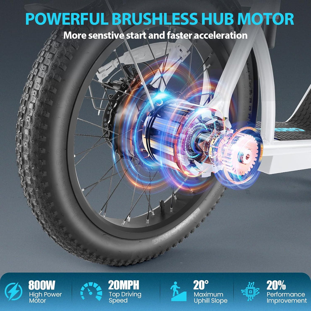 Caroma Peak 800W Foldable Adult Electric Scooter with 20-inch Wide Tires, 48V Battery, Basket, and Adjustable Seat wourant