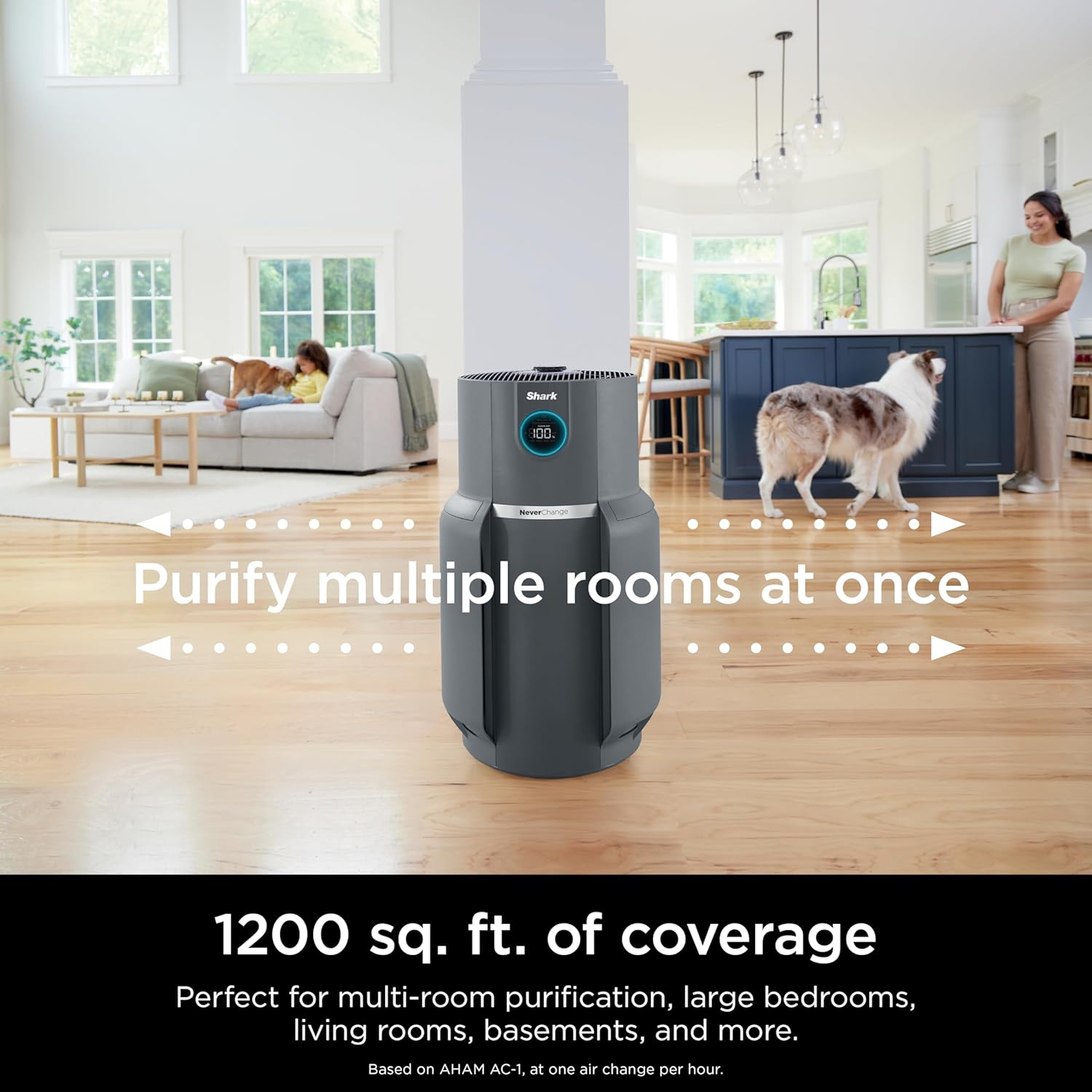 Air Purifier Compact Pro with Long-lasting HEPA Exceeding Filtration, For Pet Dander, Dust, Smoke, Allergens, Up to 250 sq. ft. wourant