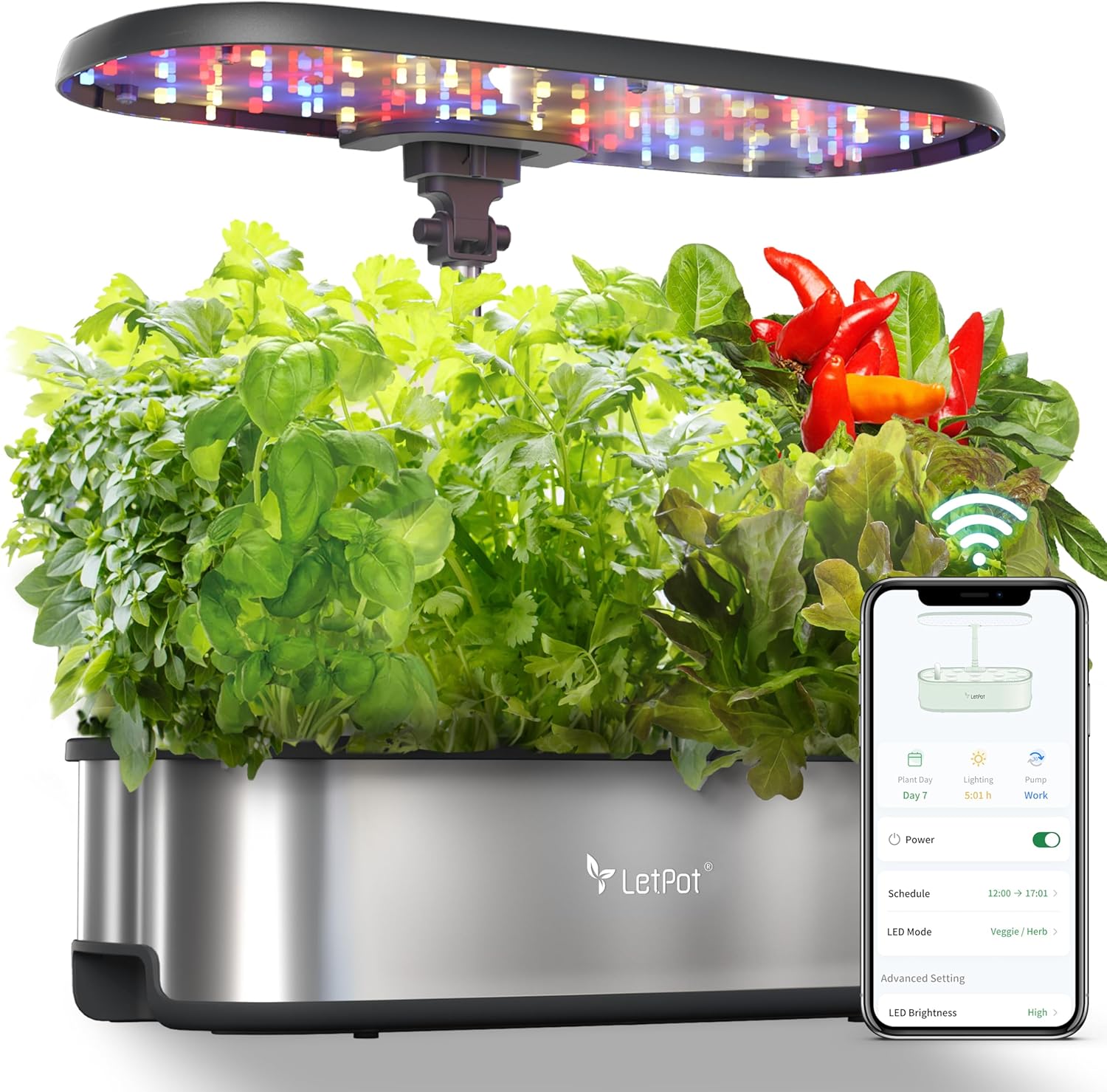 Hydroponic Planting System, 12 Indoor Smart Herb Garden Set, Indoor Garden, App and WiFi Control, with 24W Grow LED, 5.5L Water Tank, Pump System, Automatic Timer wourant