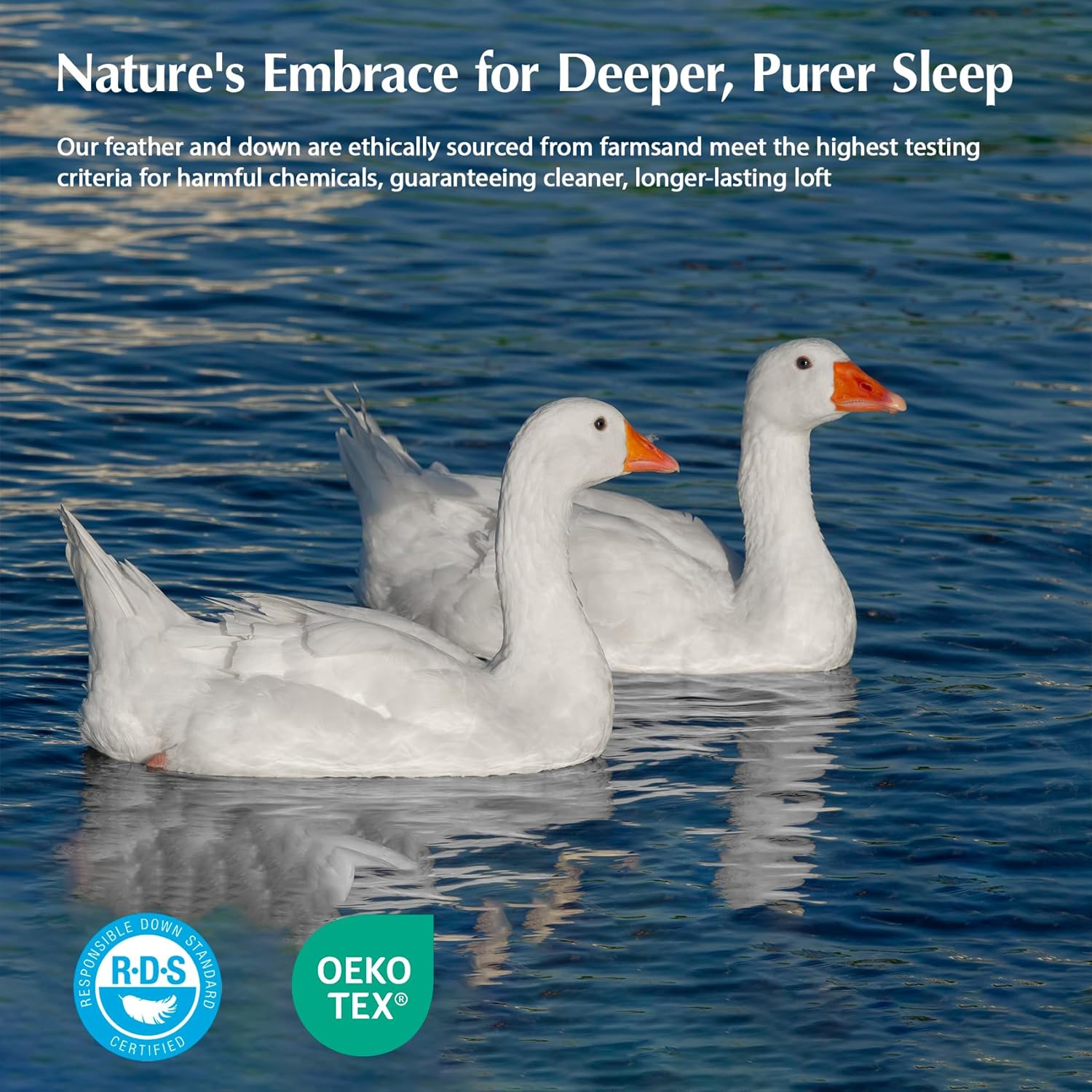 PACIFIC COAST Goose Feather Down Comforters Queen Size, 100% Cotton Extra Fluffy White Duvet Insert, Soft, Breathable, All Season Hotel Luxury Bedding Comforters, 8 Corner & Center Loops (90"x90") wourant