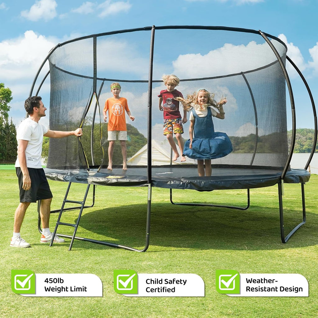 Gigu 10FT 12FT 14FT Recreational Trampolines with Enclosure Net and Ladder Anti-Rust Coating wourant