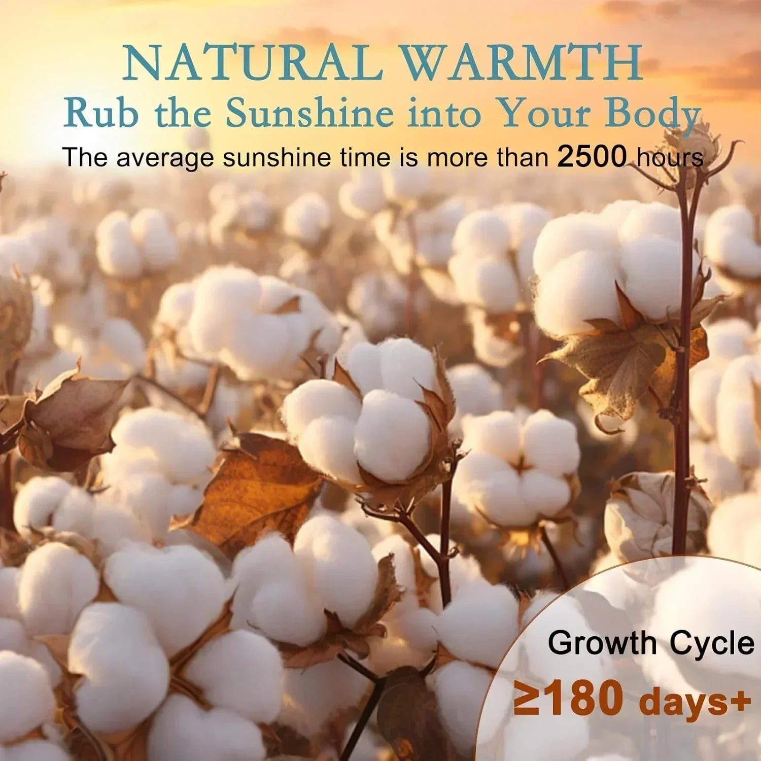 Breathable Thin Comforter Duvet Insert wourant