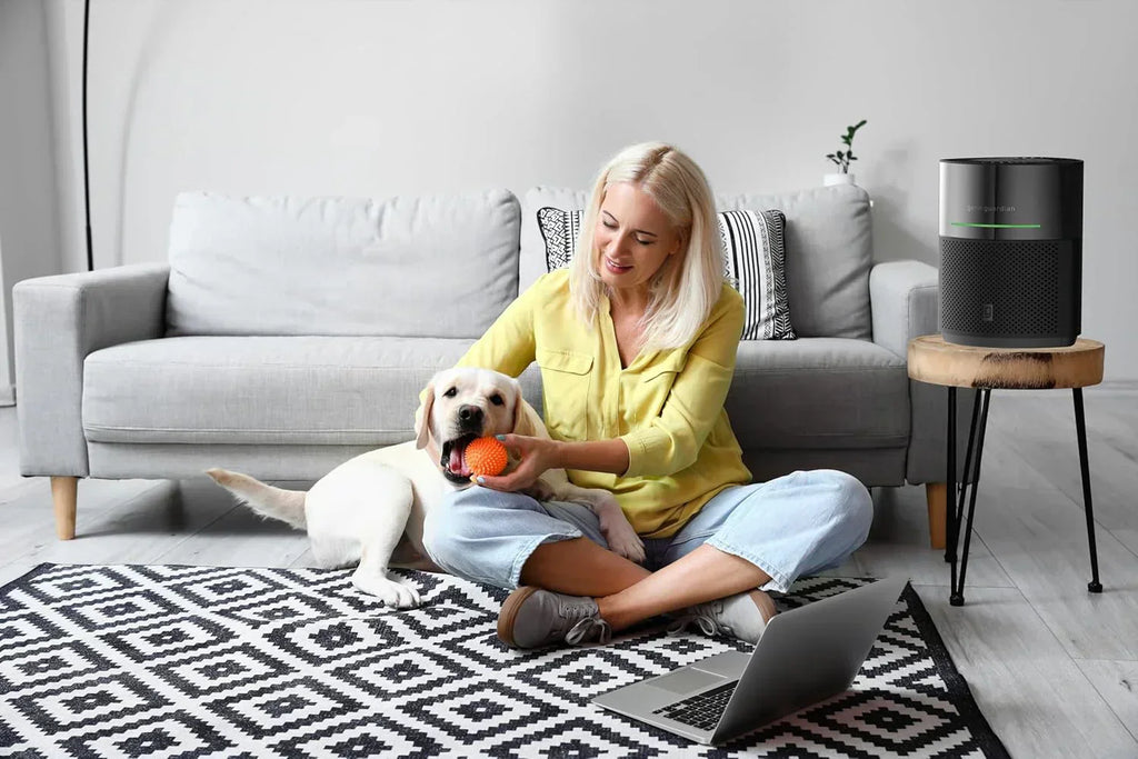 Air Purifier for Home for Wildfire Smoke Pets Pollen Odor Large Rooms Up To 1043 Sq. Ft wourant
