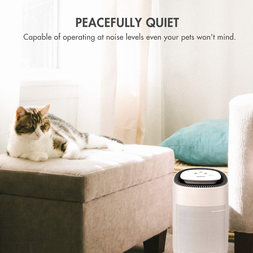 Sorbi 1000ml Air Dehumidifier Purifying Function True HEPA Filter Touch Control Air Speed wourant