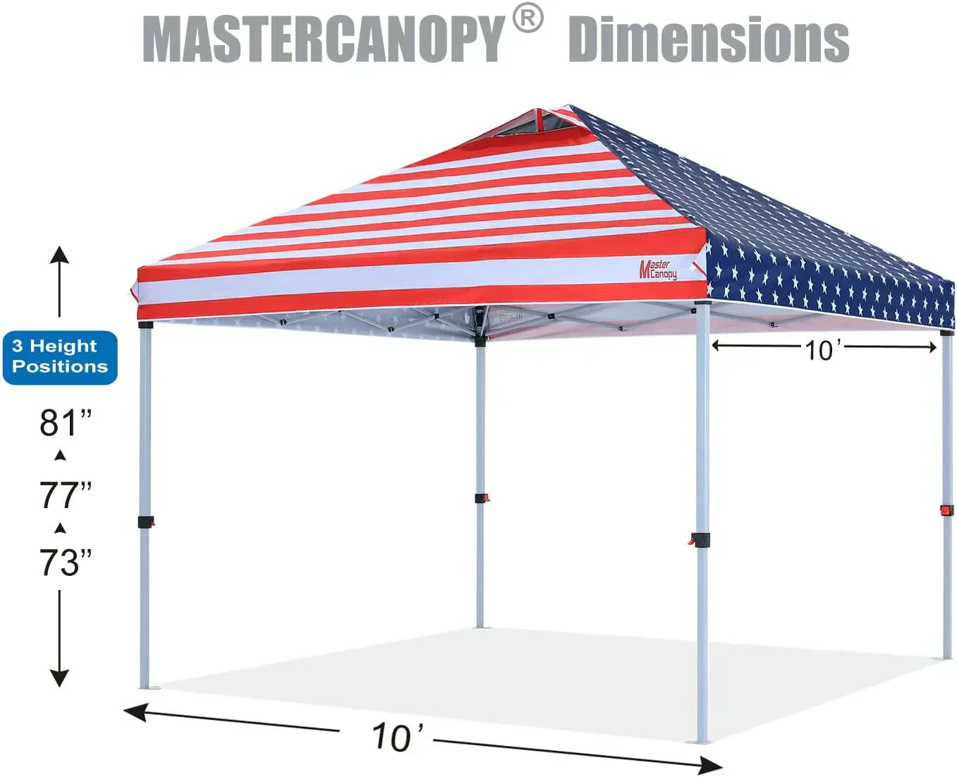 Durable Pop-up Canopy Tent with Roller Bag (10x10 Black) wourant