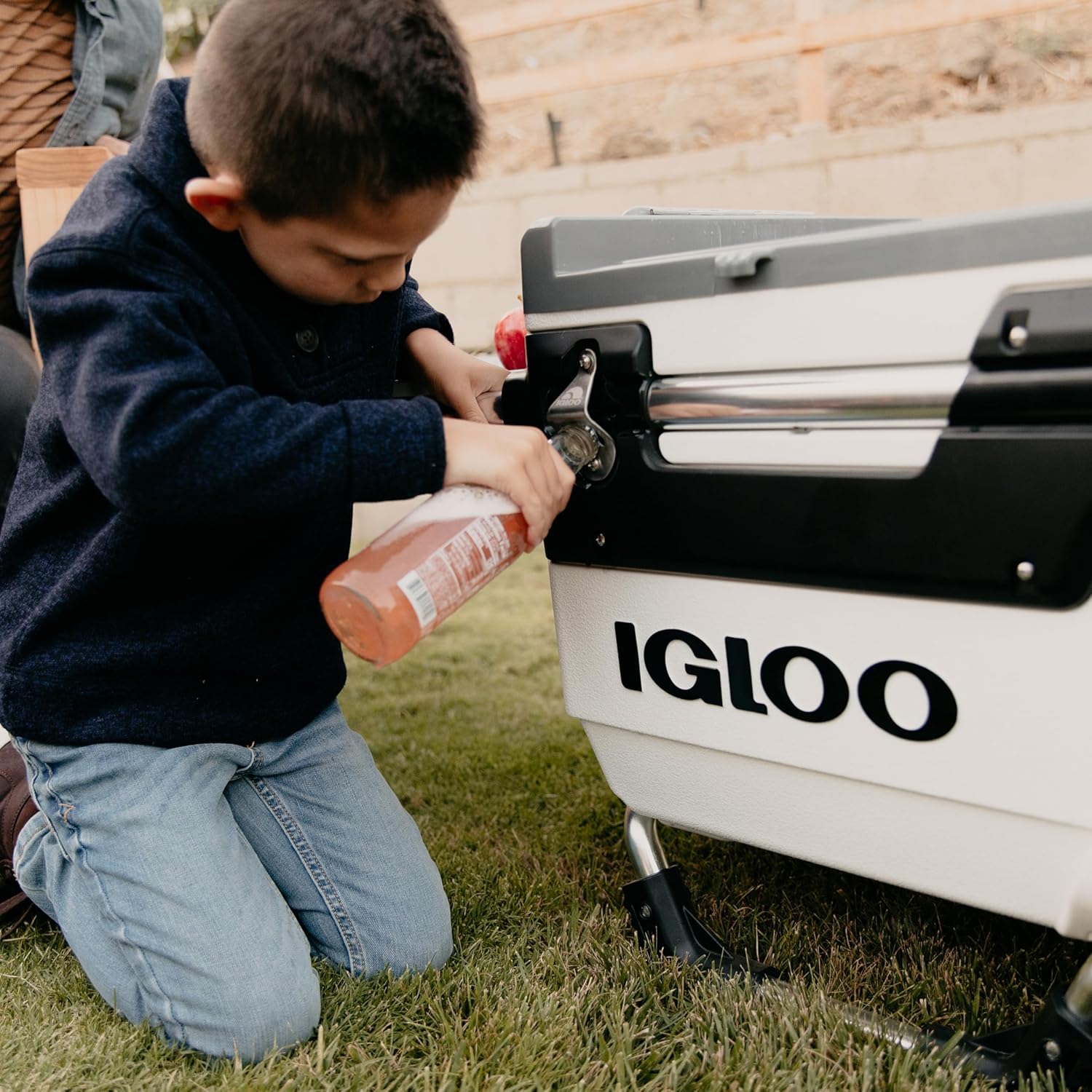 70Qt Wheeled Cooler Insulated Hard Shell Ice Chest wourant