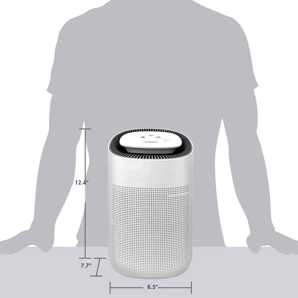 Sorbi 1000ml Air Dehumidifier Purifying Function True HEPA Filter Touch Control Air Speed wourant