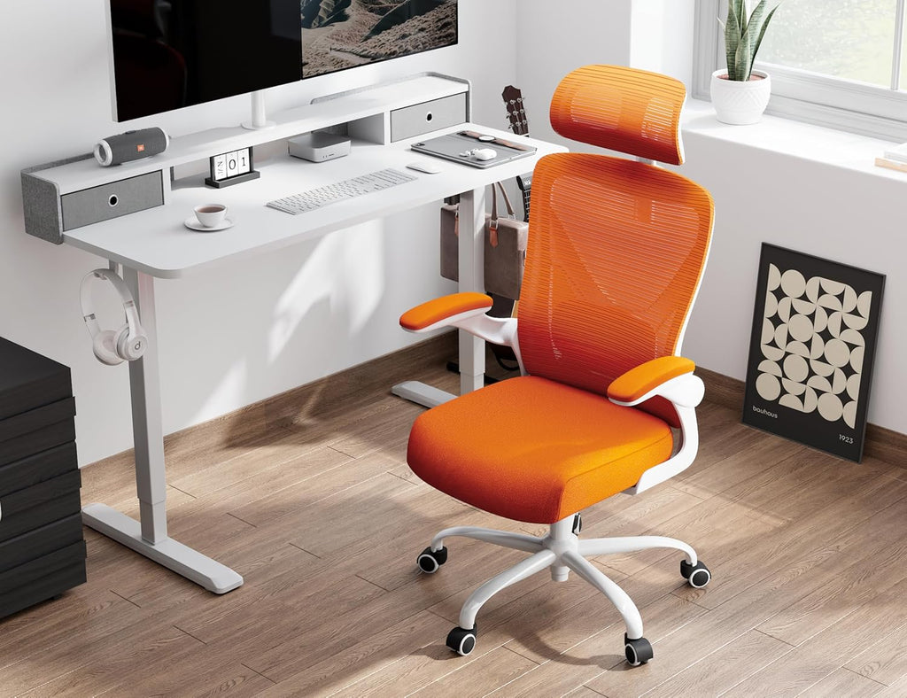 Office computer desk and chair gaming chair with lumbar support and headrest wourant